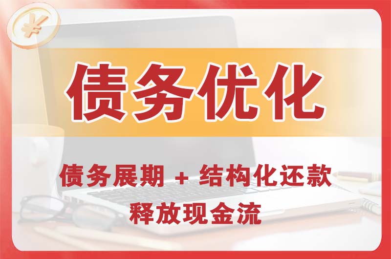 罗甸债务优化