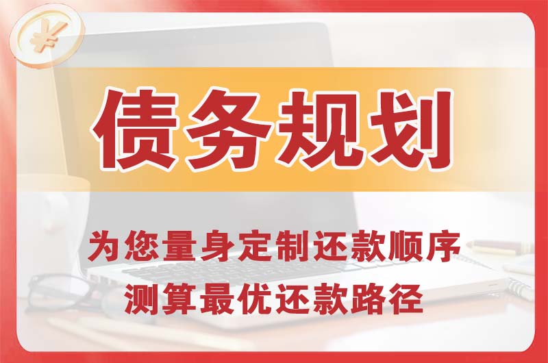 罗甸债务规划